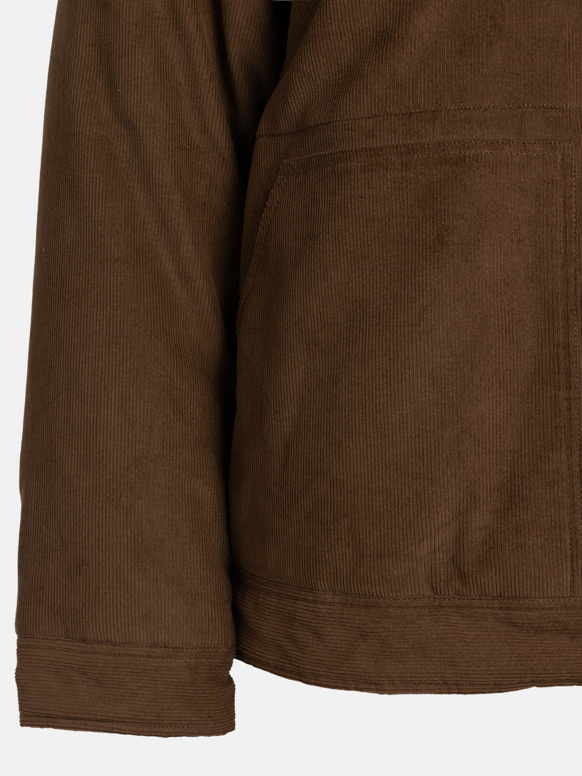 Veste velours grande taille homme