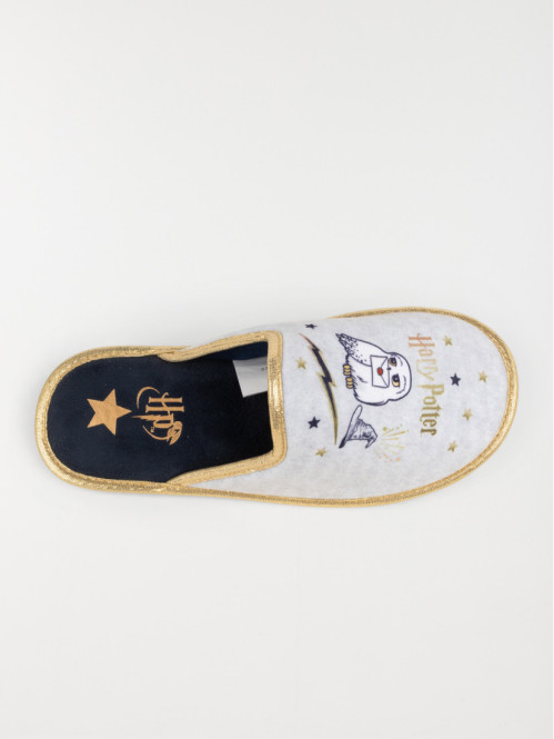 Chausson harry potter femme...