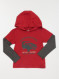 Image produit Couleur: TOMETTE FONCEE