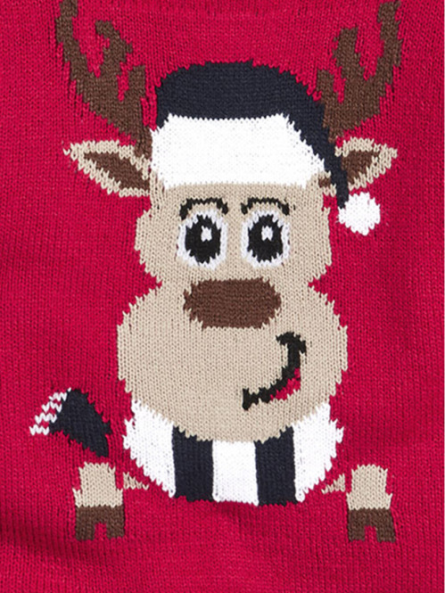 Pull motif renne de Noël...