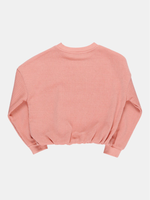 Sweat velours wild fille...