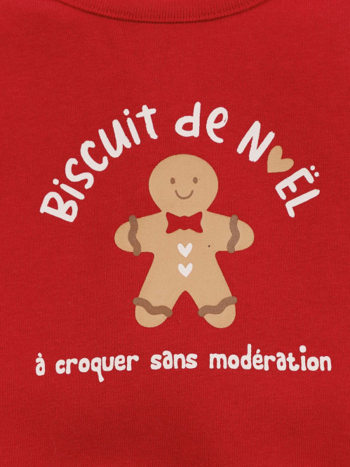 Ensemble biscuit de Noël...