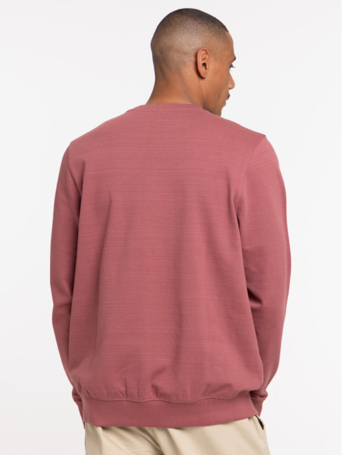 Sweat Wild adventure homme