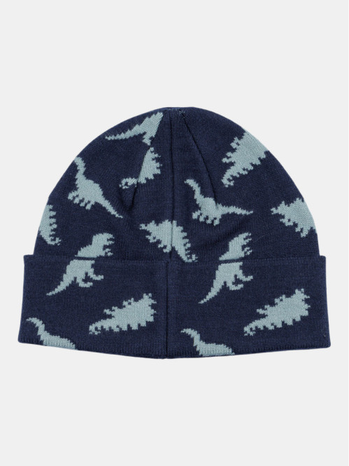 Bonnet motifs dinosaures...
