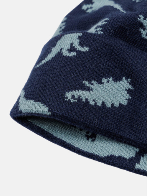 Bonnet motifs dinosaures...