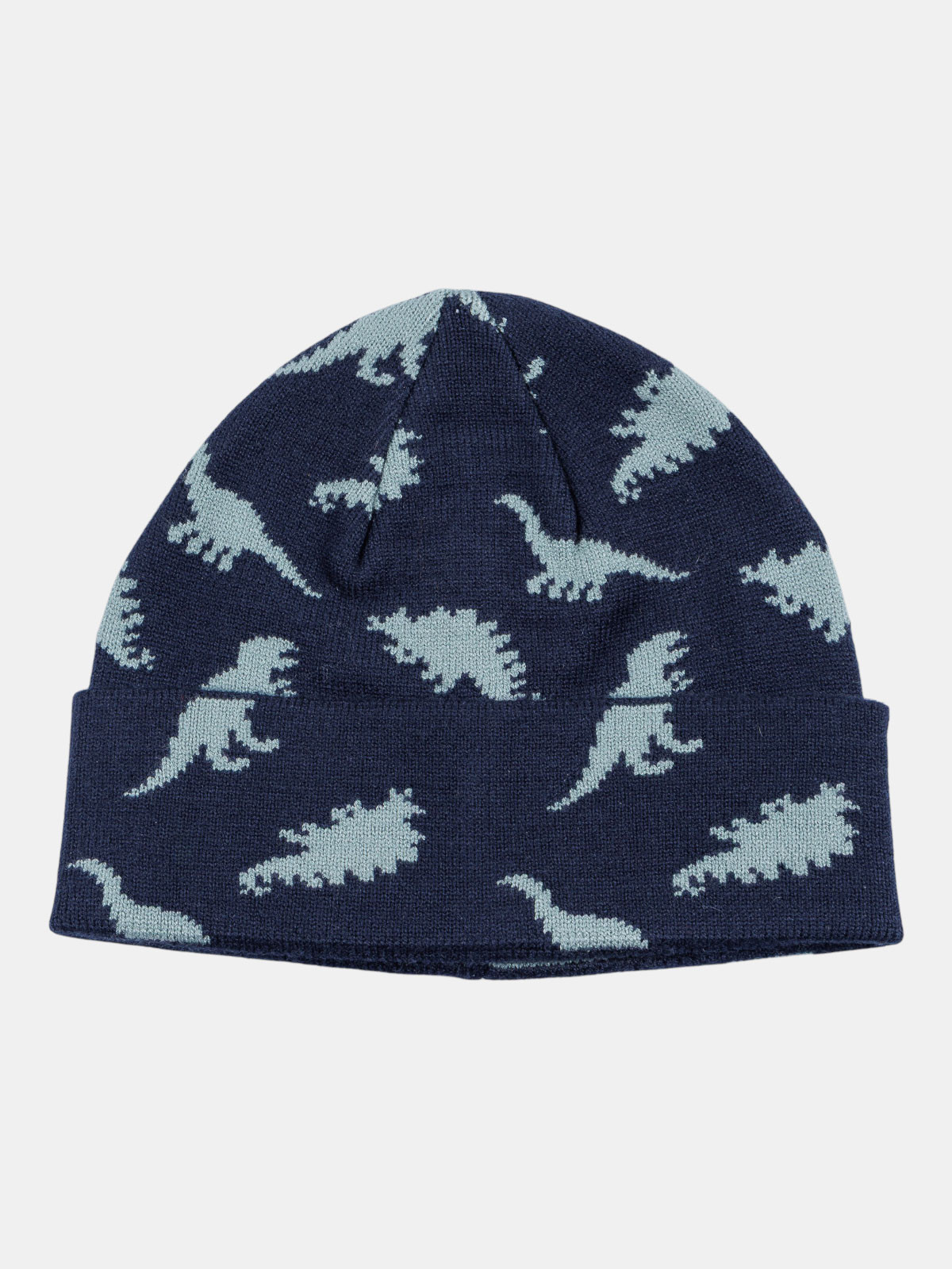 Bonnet motifs dinosaures garçon Bonnet motifs dinosaures garçon