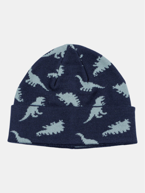 Bonnet motifs dinosaures...