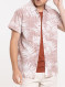 Image produit Couleur: sequoïa