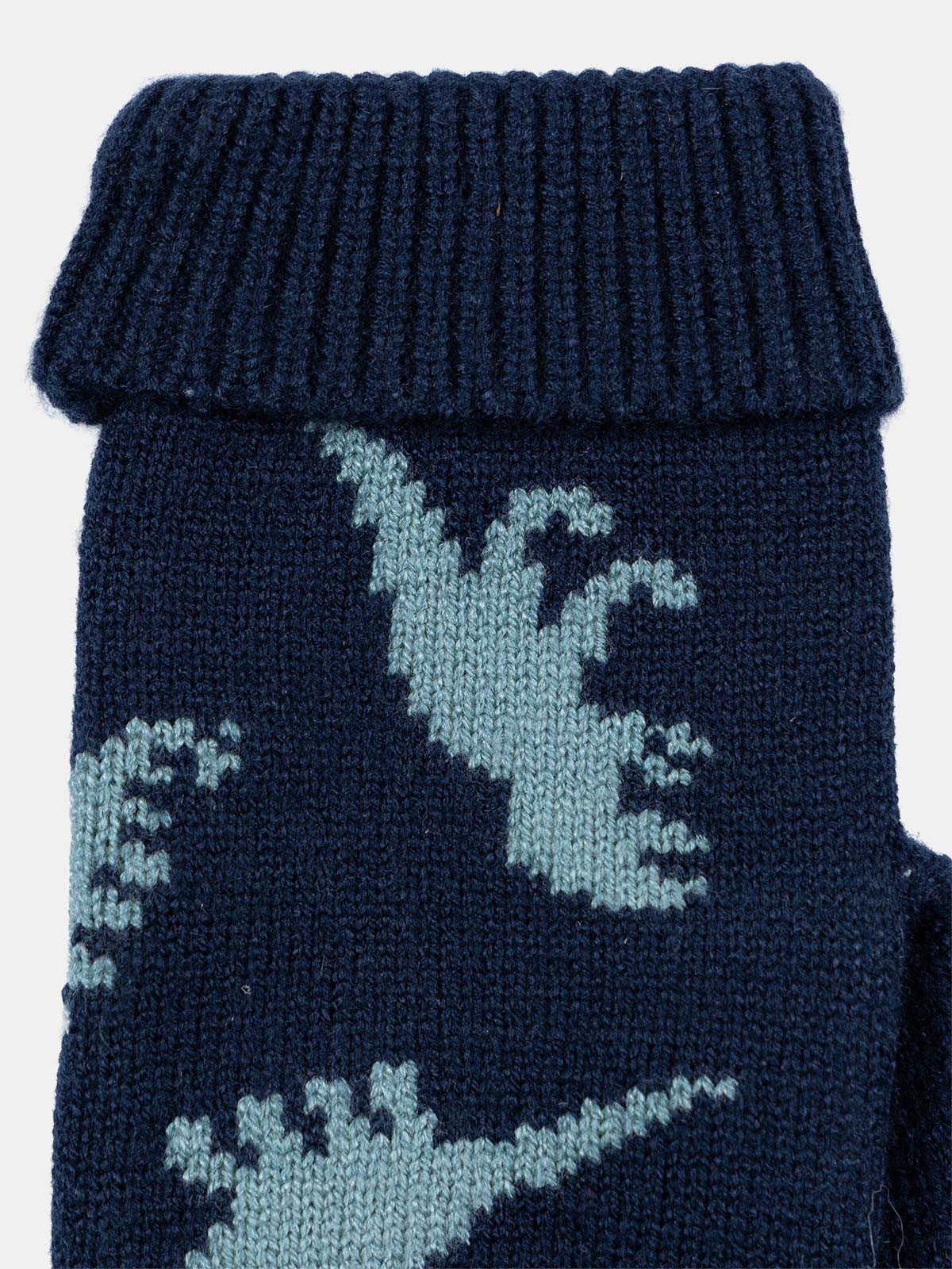 Moufles motifs dinosaures garçon Moufles motifs dinosaures garçon