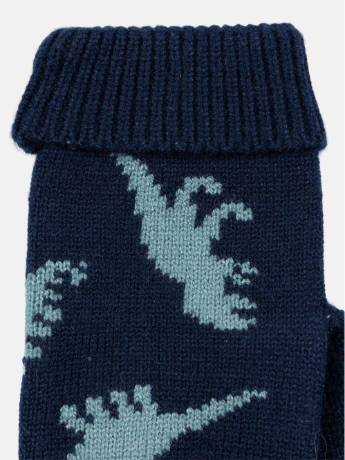 Moufles motifs dinosaures...