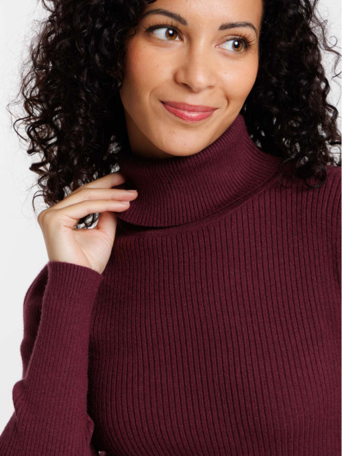 Pull col roulé dark figue femme Pull col roulé dark figue femme