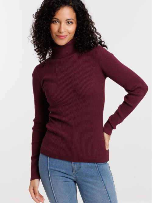 Pull col roulé dark figue femme Pull col roulé dark figue femme