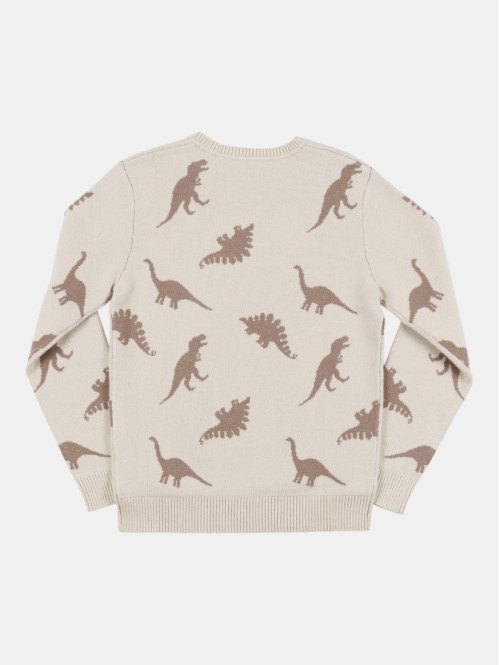 Pull dinosaures garçon (3-12A)