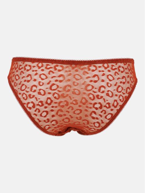 Culotte dentelle léopard...