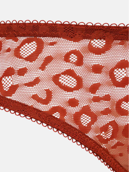 Culotte dentelle léopard...