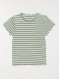 Image produit Couleur: lichen green