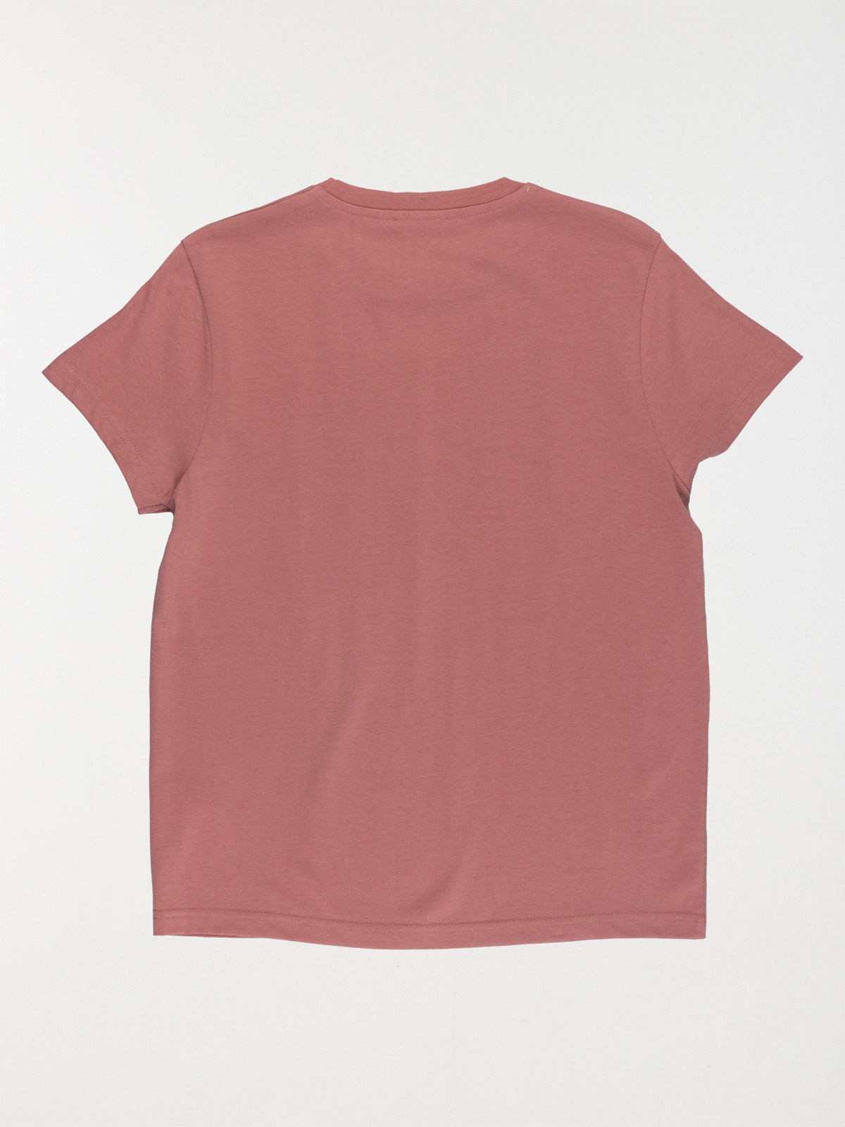 Tee-shirt garçon caméléon (XXS-M) Tee-shirt garçon caméléon (XXS-M)