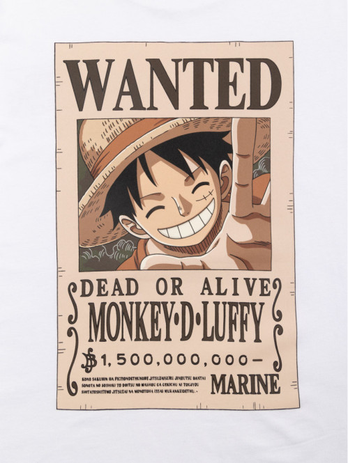 Tee-shirt garçon One Piece (XXS-M) Tee-shirt garçon One Piece (XXS-M)