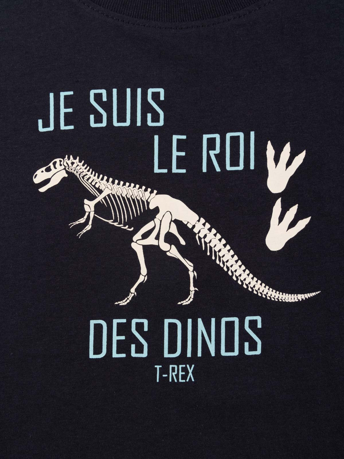T-shirt dinosaure garçon (3-12A)