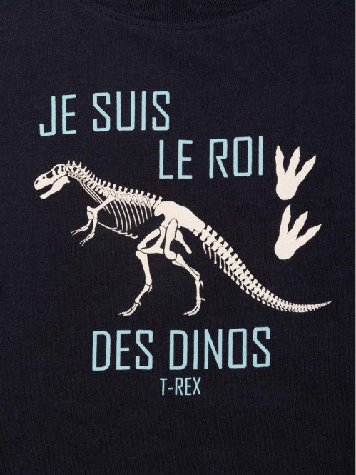 T-shirt dinosaure garçon (3-12A)