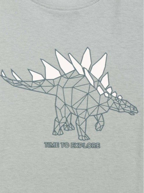 Tee-shirt dinosaure garçon (3-12A)