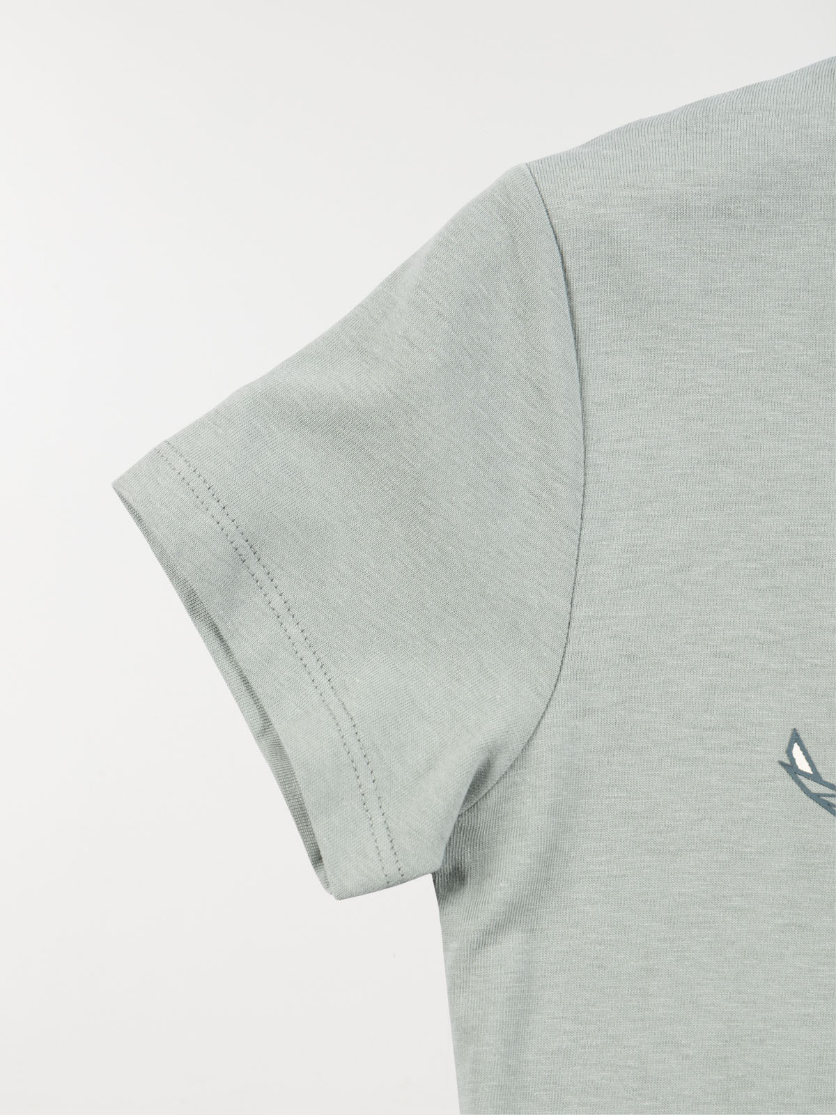 Tee-shirt dinosaure garçon (3-12A)