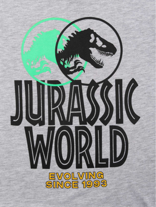 T-shirt Jurassic world garçon (3-12A)