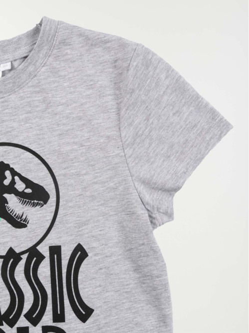 T-shirt Jurassic world garçon (3-12A)