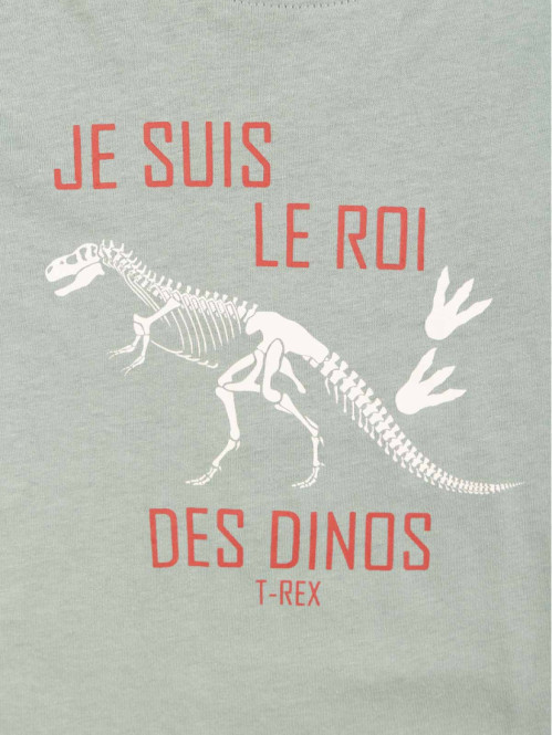T-shirt roi des dinos garçon (3-12A)