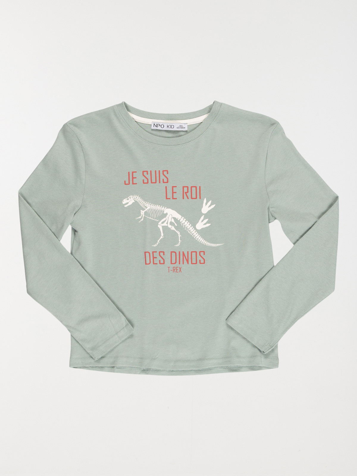 T-shirt roi des dinos garçon (3-12A)