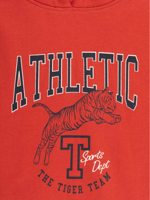 Sweat à capuche rouge brulé (3-12A)