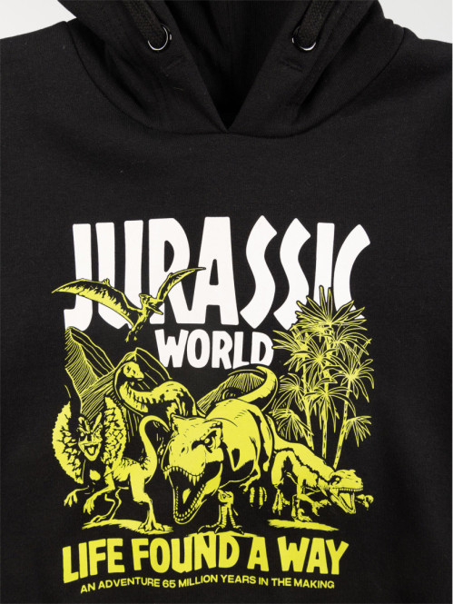 Sweat à capuche motif garçon (3-12A)