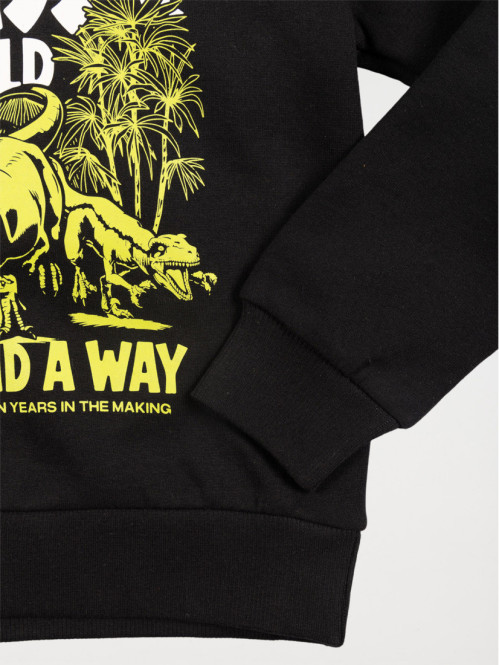 Sweat à capuche motif garçon (3-12A)