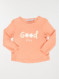 Image produit Couleur: rose brique