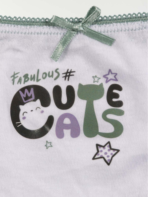 Lot 5 slips motif chat...