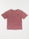 Image produit Couleur: raisin blanchi