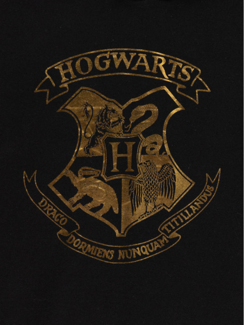 Sweat capuche Harry Potter...