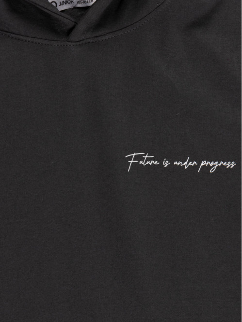 Sweat gris stone capuche...