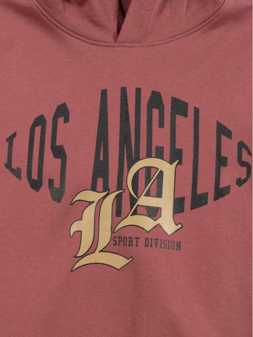 Sweat capuche L.A garçon (XXS-M)