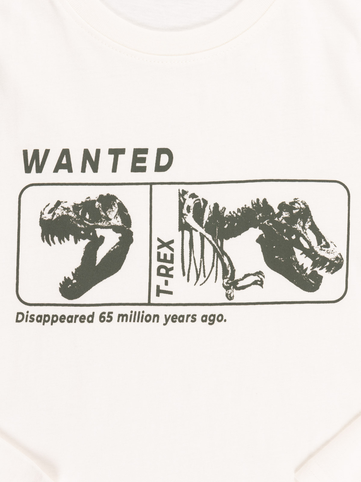 T-shirt dinosaure écru garçon (3-12A)