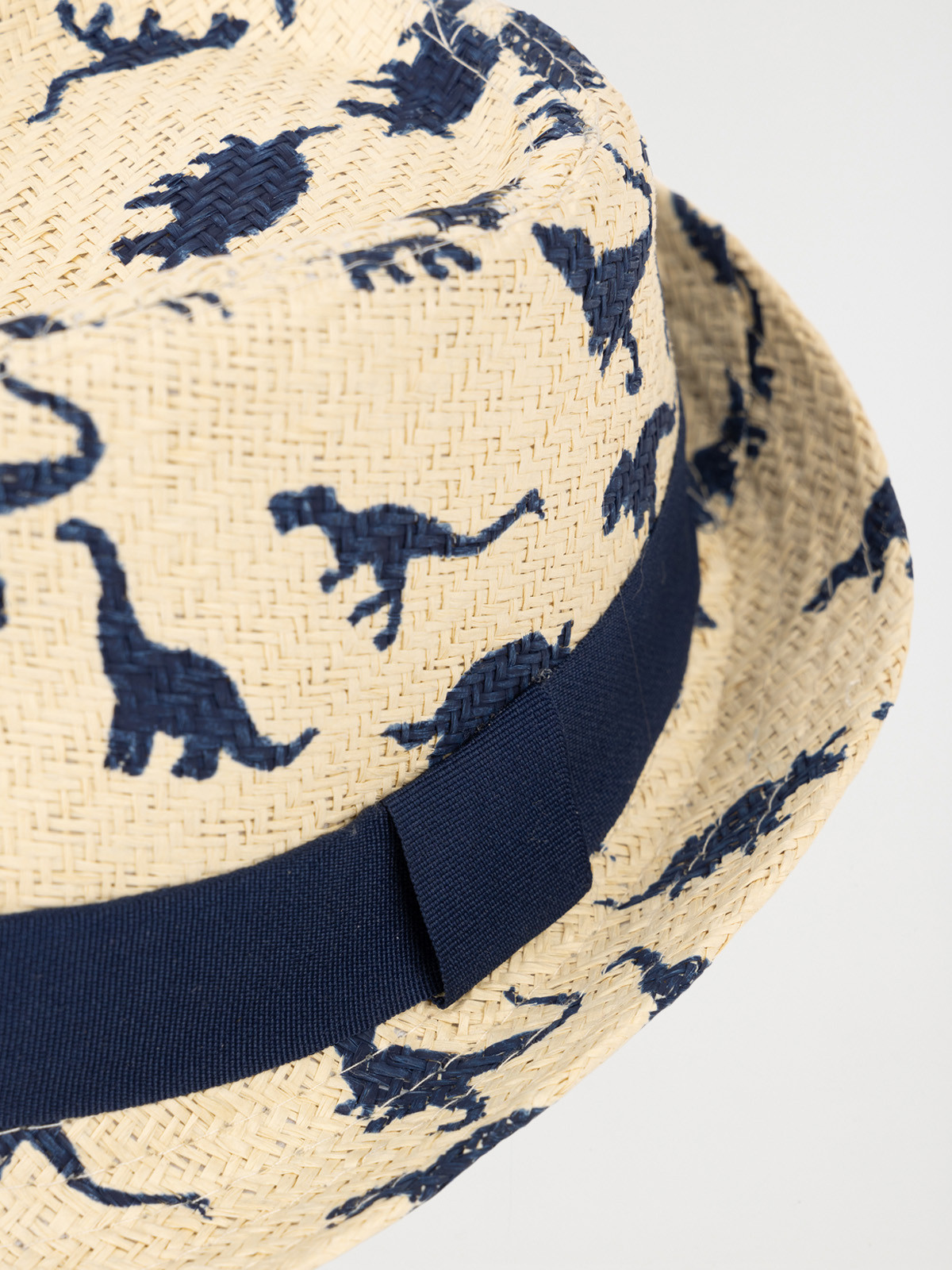 Chapeau dinosaure garçon