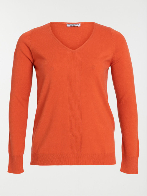 Pull paprika col V grande taille femme