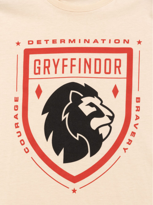 Big T-shirt Harry Potter...