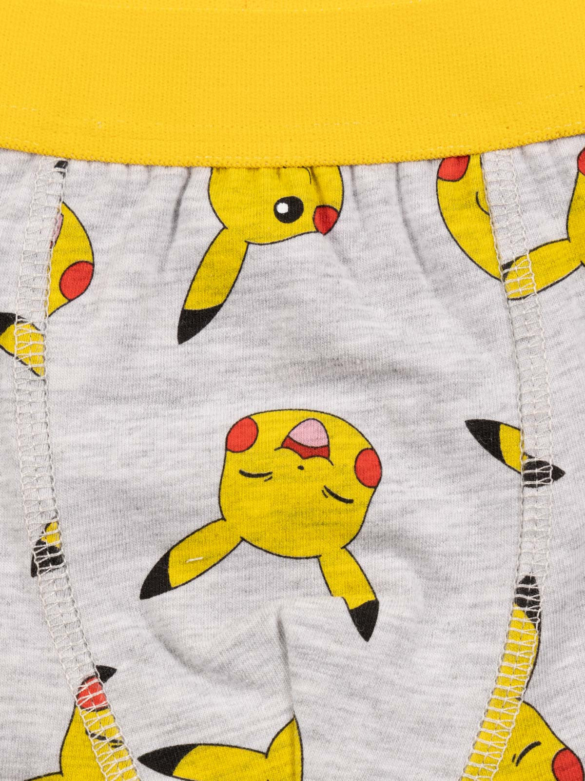 Lot de 2 boxers POKEMON garçon