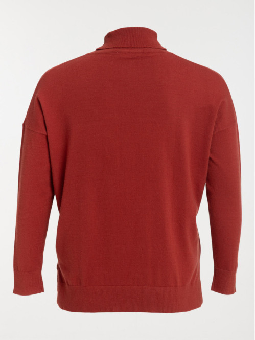 Pull col roulé grande...