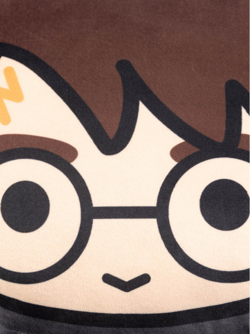 Coussin Harry Potter Coussin Harry Potter