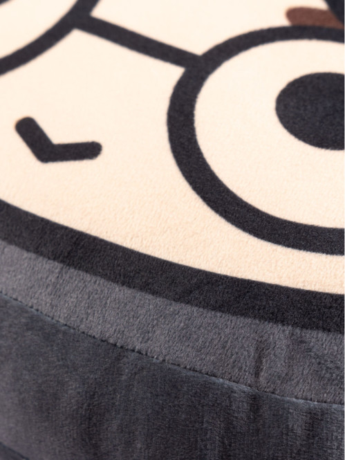 Coussin Harry Potter Coussin Harry Potter