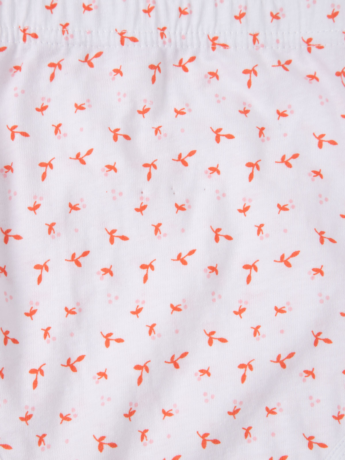 Lot de 3 culottes imprimées femme