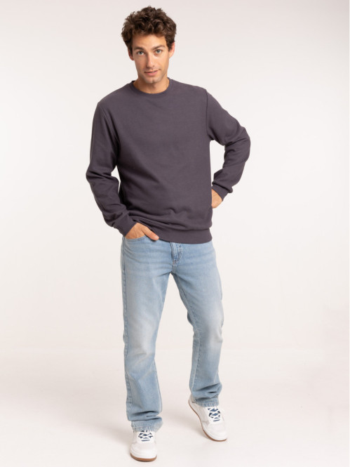 Pull bleuâtre col rond homme