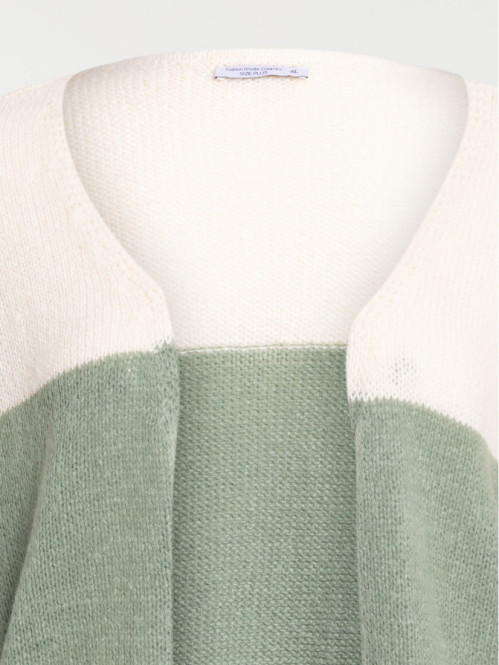 Gilet tricolore grande...